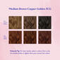 Permanent Hair Colour Set